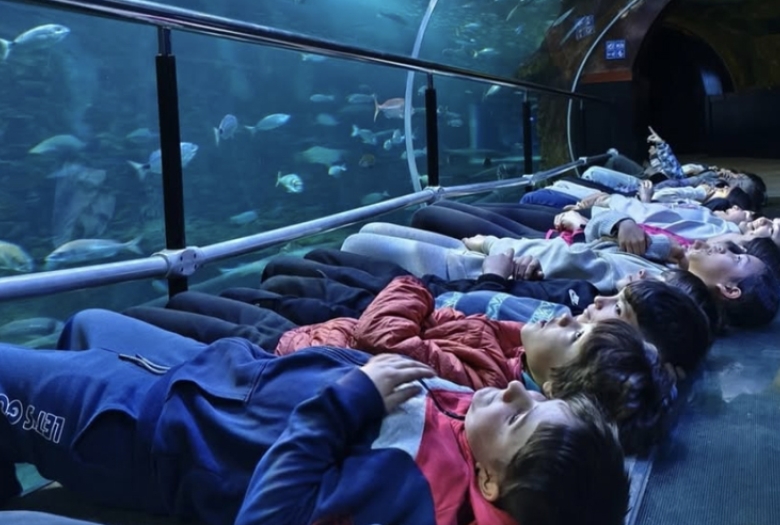 Aquariumean