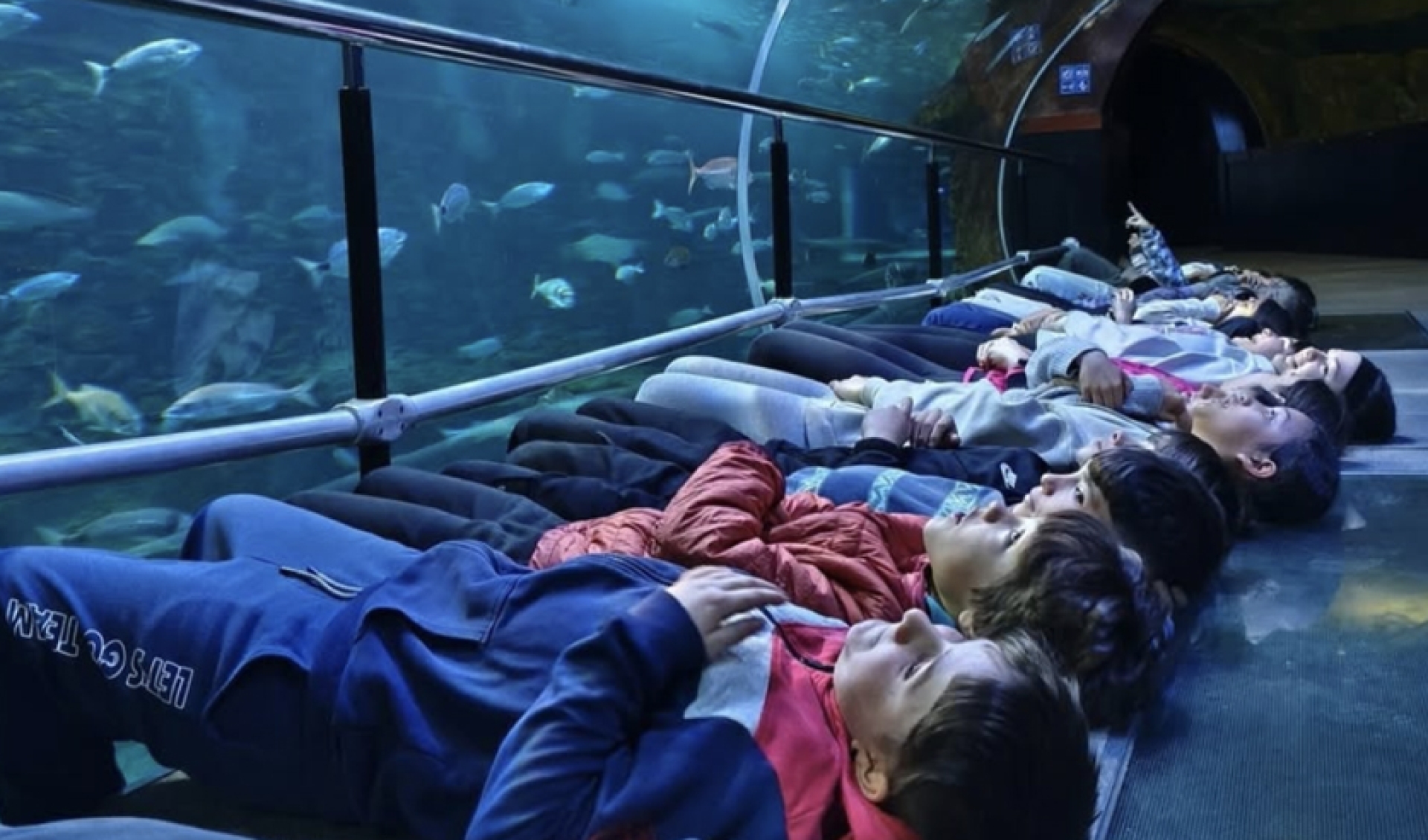 Aquariumean